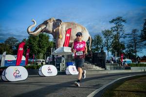 BIB: 
                            <button type="button" onclick="openModal(26541660)" class="btn btn-primary btn-sm float-right btn-popup" data-toggle="modal" data-target=".modal-high-quality">
                        <i class="fas fa-shopping-cart"></i> Add to Cart
                    </button>
                                            <button type="button" onclick="isThisMe(26541660, true)" class="btn btn-success btn-sm float-right btn-popup btn-isme hidden" data-toggle="tooltip" data-placement="bottom" title="นี่คือรูปของคุณใช่ไหม คลิกที่นี่เพื่อเอาเข้าอัลบั้ม">
                        <i class="fas fa-plus"></i> Add to album
                    </button>
                    <button type="button" onclick="isThisMe(26541660, false)" class="btn btn-warning btn-sm float-right btn-popup btn-isnotme hidden">
                        <i class="fas fa-ban"></i> Remove from album
                    </button>